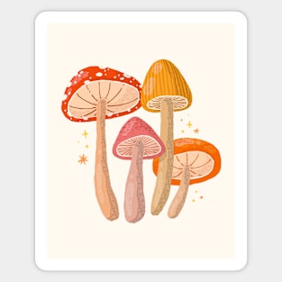 Mushrooms Magnet